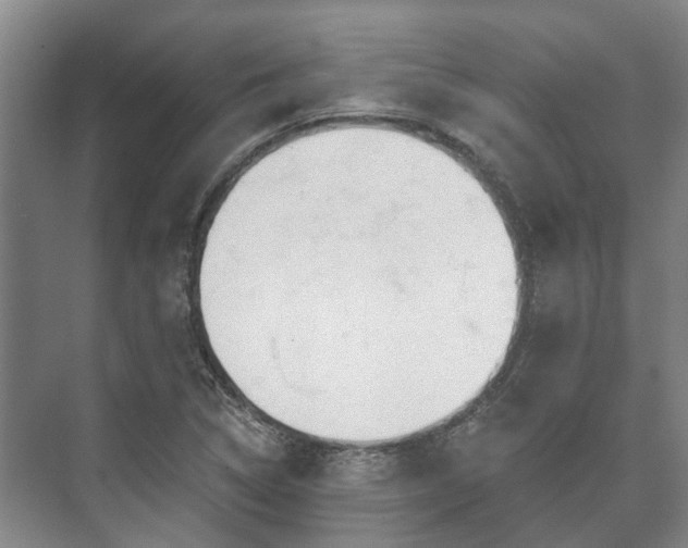 X0000073421314200608041014