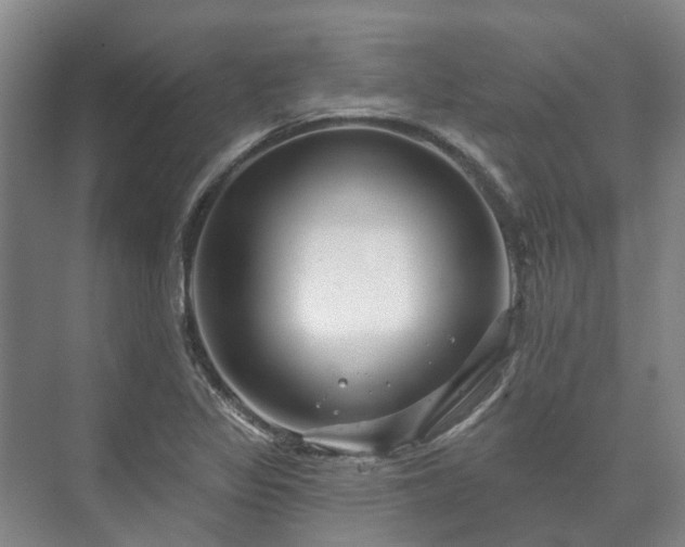 X0000073421317200608041014