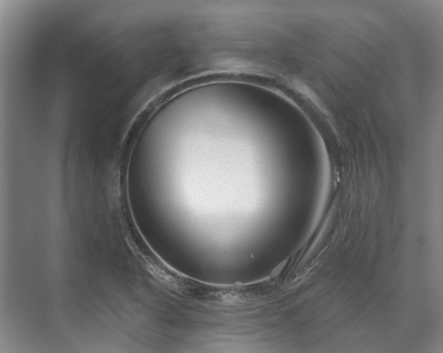 X0000073421318200608041014