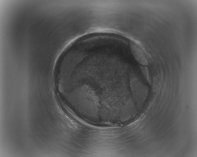 X0000073421319200608041014