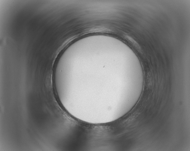 X0000073421322200608041014