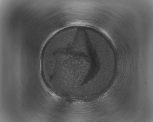 X0000073421323200608041014