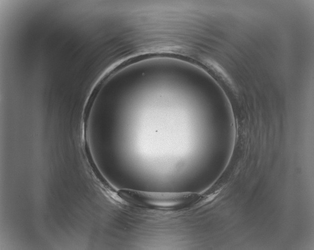 X0000073421324200608041014