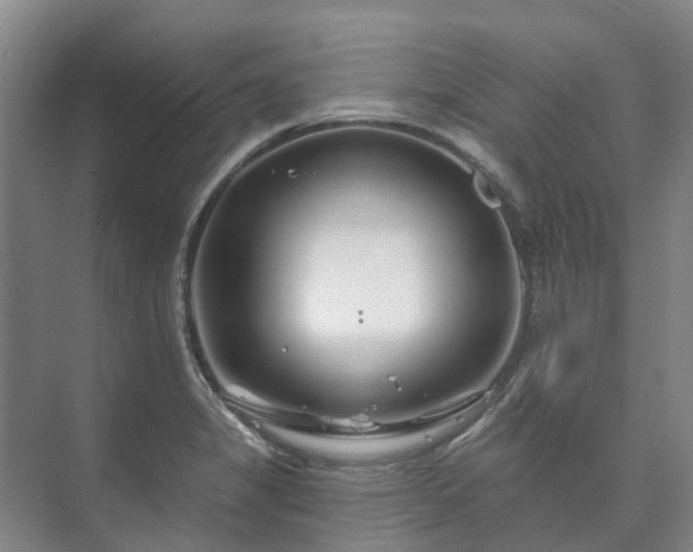 X0000073421325200608041014