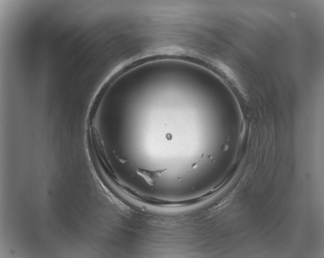 X0000073421326200608041014