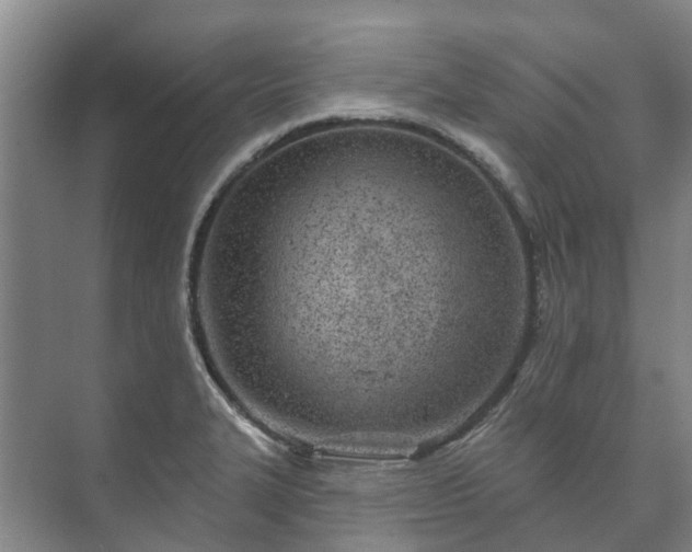 X0000073421327200608041014