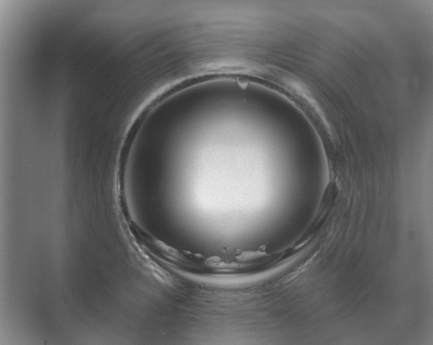 X0000073421328200608041014