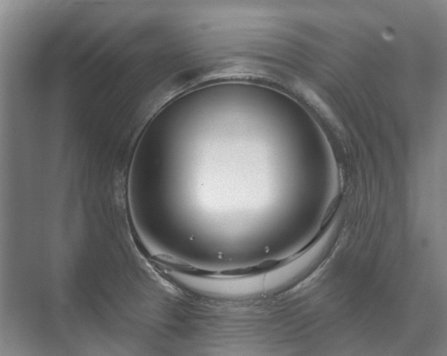 X0000073421329200608041014