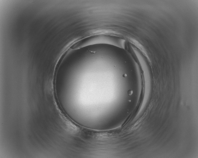 X0000073421330200608041014