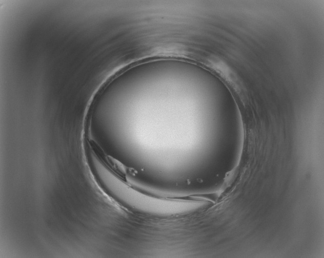 X0000073421331200608041014