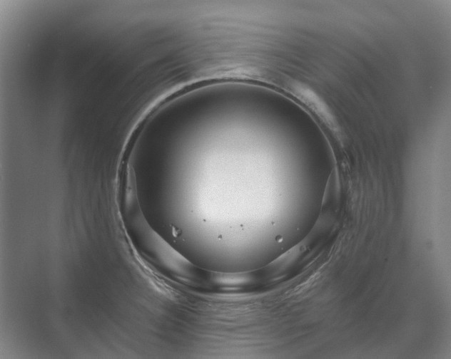 X0000073421332200608041014