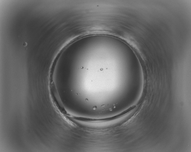 X0000073421333200608041014