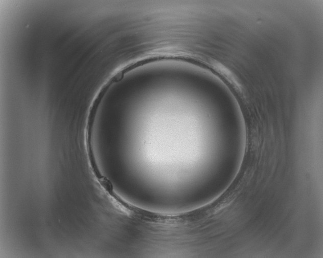 X0000073421334200608041014