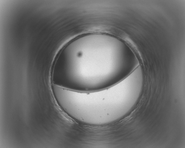 X0000073421336200608041014