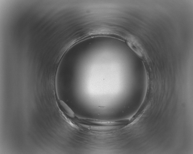 X0000073421337200608041014