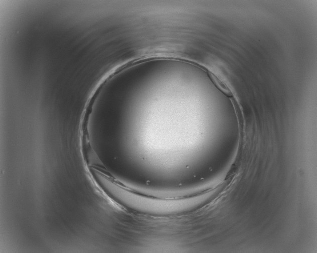 X0000073421341200608041014