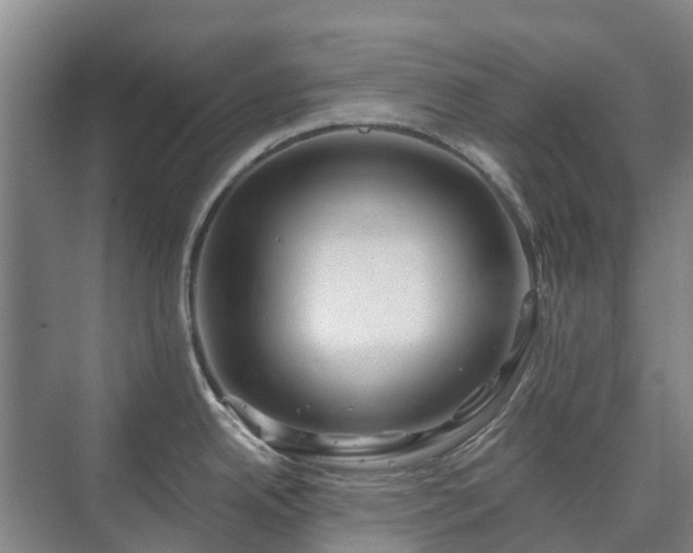 X0000073421342200608041014