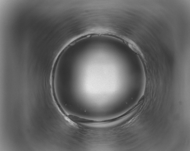 X0000073421343200608041014