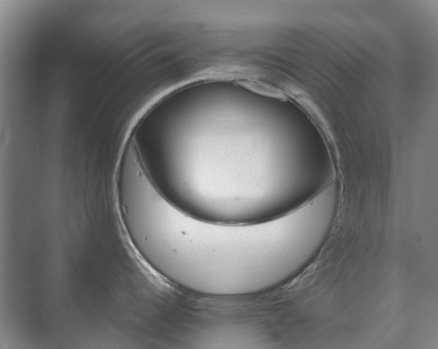 X0000073421344200608041014