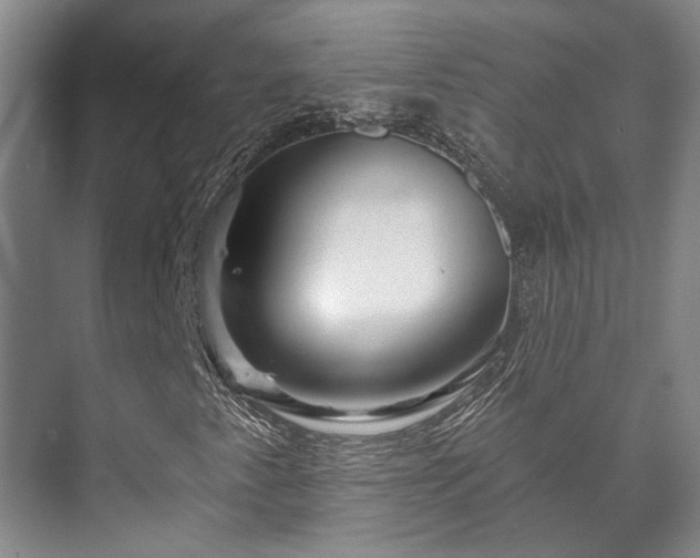 X0000073421345200608041014