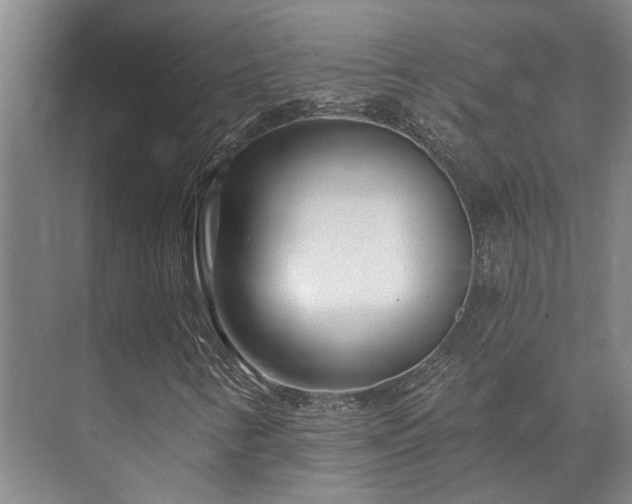 X0000073421346200608041014