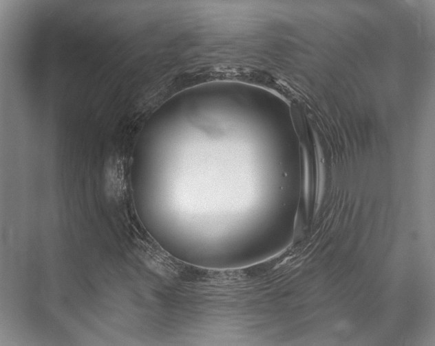 X0000073421347200608041014