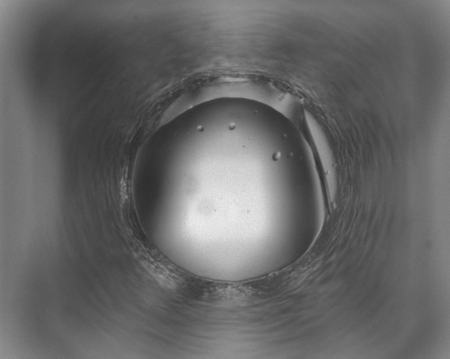 X0000073421348200608041013