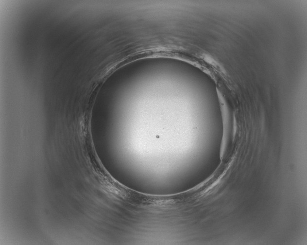 X0000073421353200608041013