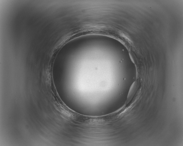 X0000073421354200608041013