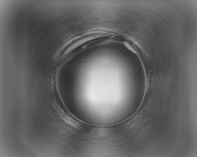 X0000073421355200608041013