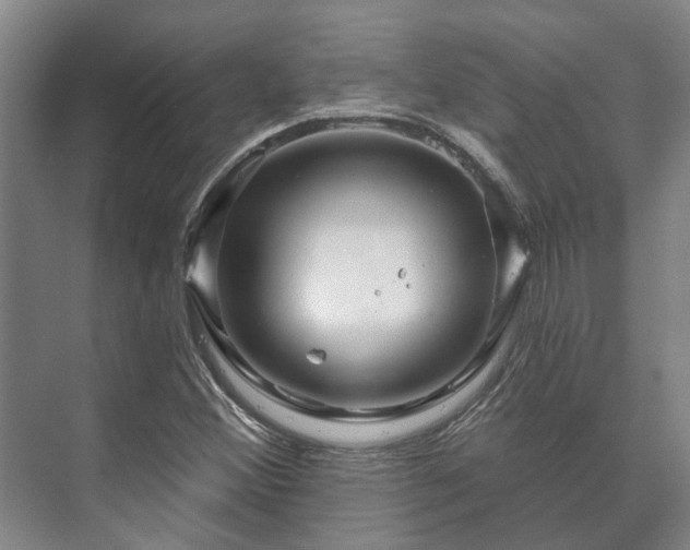 X0000073421356200608041013