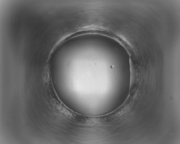 X0000073421358200608041013