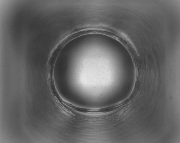 X0000073421360200608041013