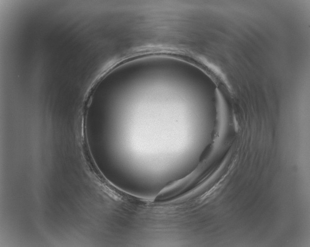 X0000073421365200608041013