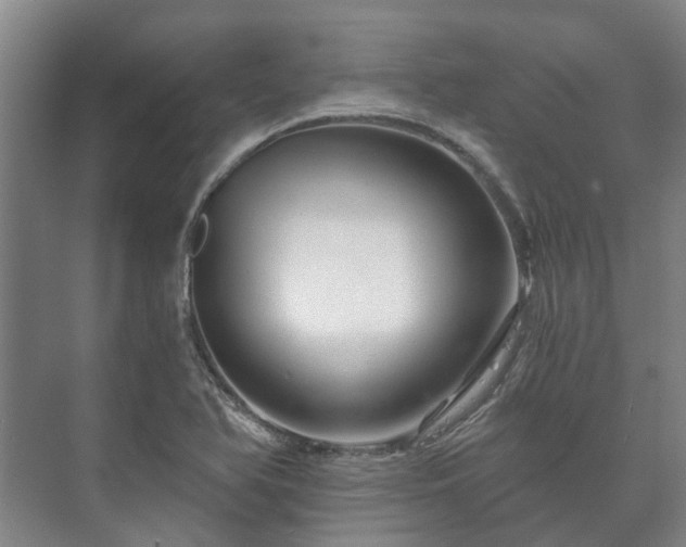 X0000073421366200608041013