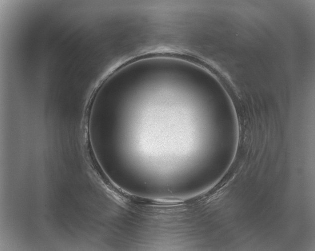 X0000073421367200608041013