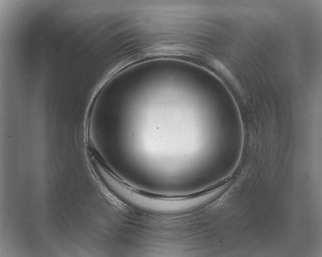 X0000073421370200608041013