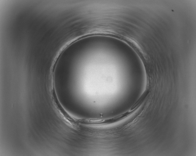 X0000073421371200608041013