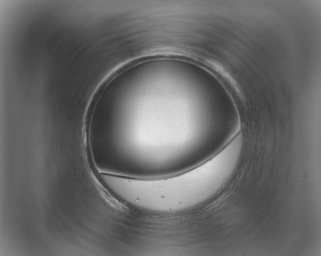 X0000073421372200608041013