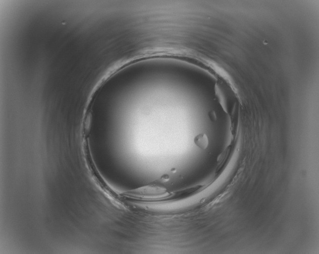 X0000073421373200608041013