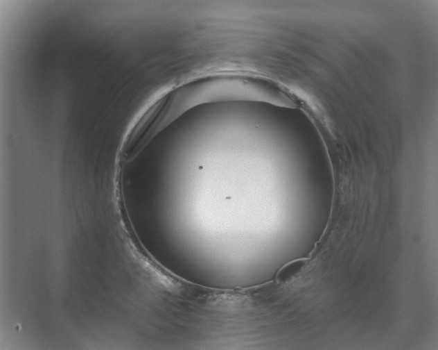 X0000073421374200608041013