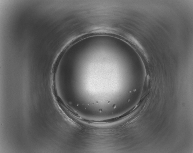 X0000073421376200608041013