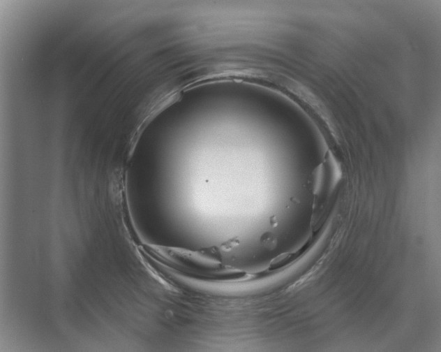 X0000073421377200608041013