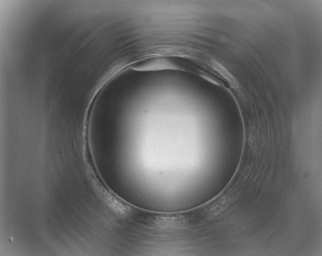 X0000073421378200608041013