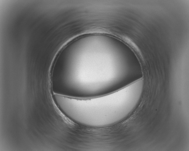 X0000073421380200608041013