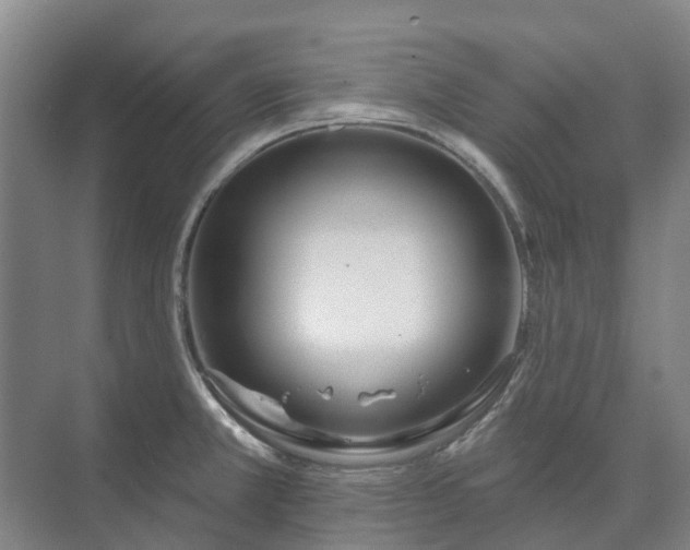 X0000073421381200608041013