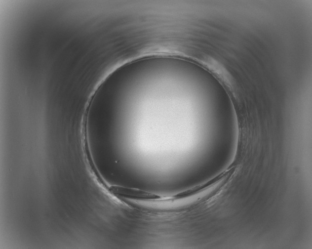 X0000073421382200608041013