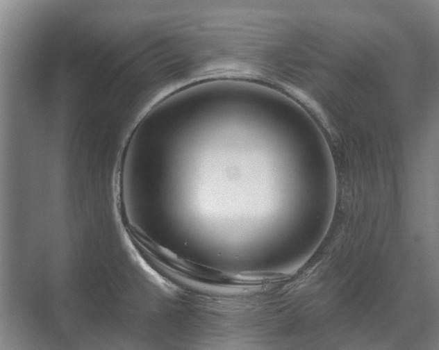 X0000073421383200608041013