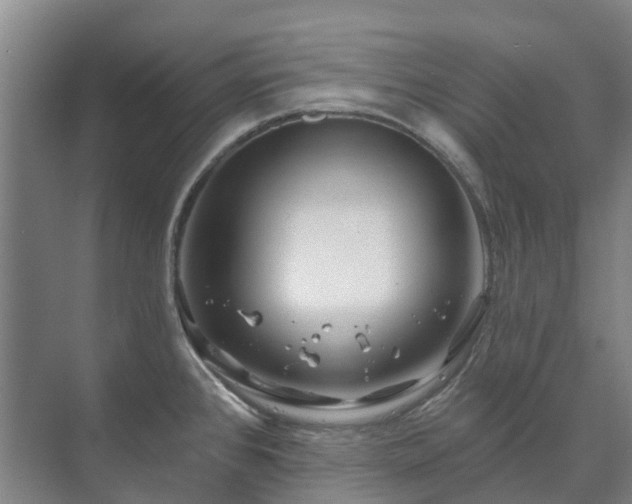 X0000073421384200608041013