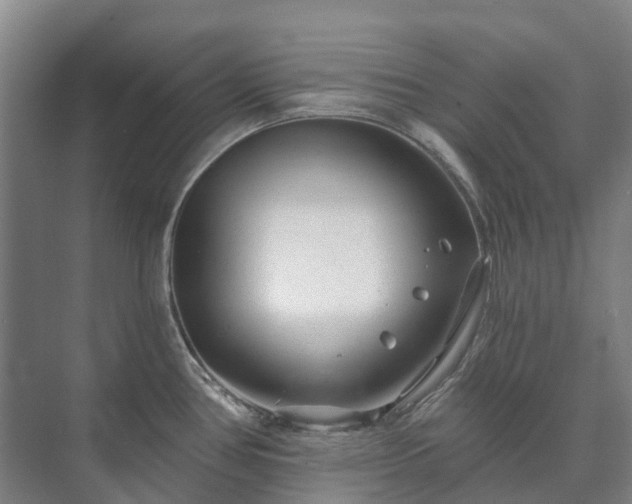 X0000073421386200608041013